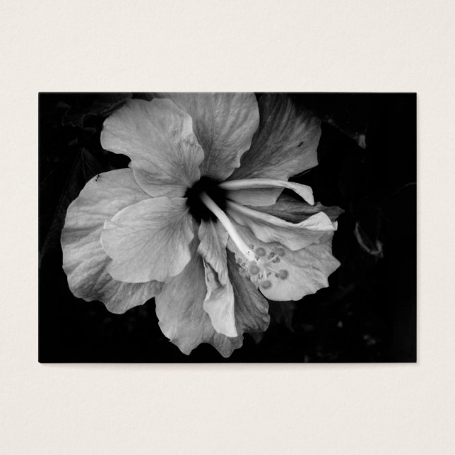 hibiscus visitekaartje (Voorkant)