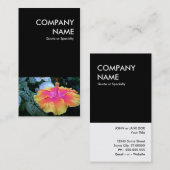 hibiscus visitekaartje (Voorkant / Achterkant)