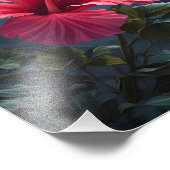 Hibiscus zonsondergang foto afdruk (Hoek)