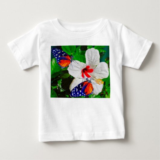 Hibiscusbloem met 2 tijger longwing vlinders (Voorkant)