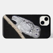 Hibou (Verso Horizontal)