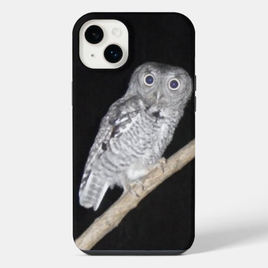 Hibou (Verso)