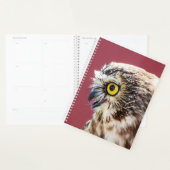 Hibou 2024 (Devant avec enveloppe)