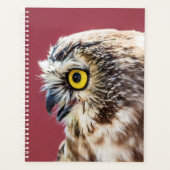 Hibou 2024 (Devant)