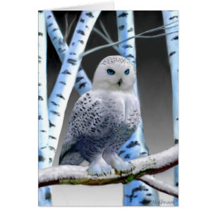 HIBOU AUX YEUX BLEUS DE NEIGE