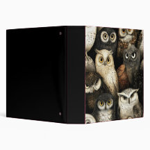 hibou aux yeux percés