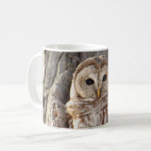 Hibou barré dans la tasse d'arbre (Devant gauche)