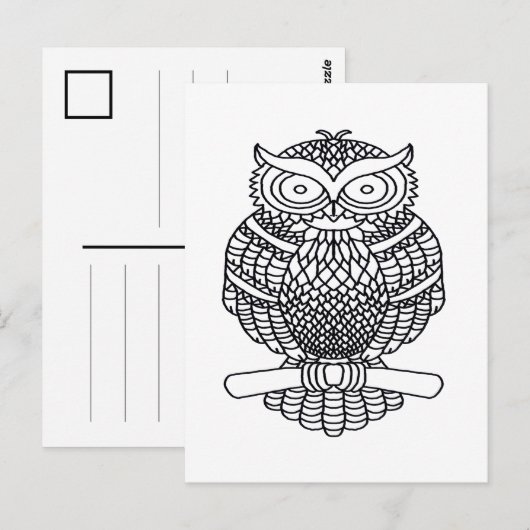 Hibou (blanc) - Carte postale (Devant / Derrière)