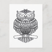 Hibou (blanc) - Carte postale (Devant)