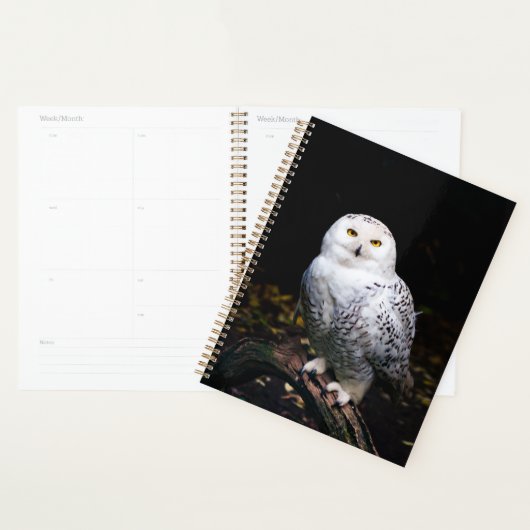 Hibou blanc majestueux d'hiver (Devant avec enveloppe)