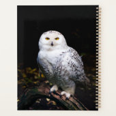 Hibou blanc majestueux d'hiver (Dos)