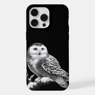 Hibou Blanc Majestueux Perché
