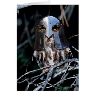 Hibou de chevalier