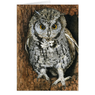 Hibou de cri strident