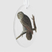 Hibou de grand gris par Audubon (devant)