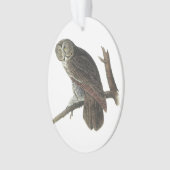 Hibou de grand gris par Audubon (devant)