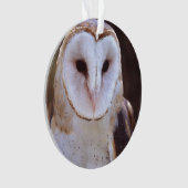 hibou de grange (devant)