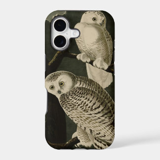 Hibou de Milou