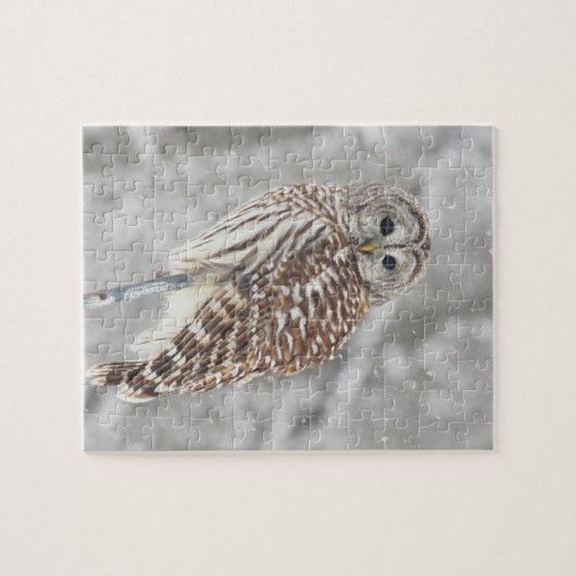 Hibou été perché - puzzle (Horizontal)