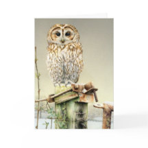 Hibou fauve dans la carte de beaux-arts de neige
