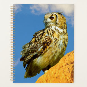 Hibou grand-duc eurasien