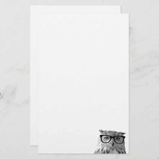 Hibou mignon avec le papier de papeterie en verre (Devant / Derrière)