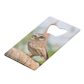 Hibou repéré sur le vol de matin (Devant Angle)
