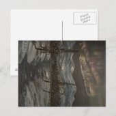 Hiboux de Milou et carte postale de l'aurore de (Devant / Derrière)