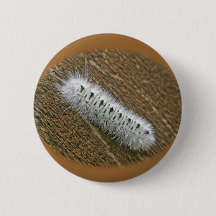Hickory Tussock Moth (Lophocampa caryae) Ronde Button 5,7 Cm