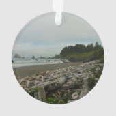 Hidden Beach I at Redwood National Park (dos)