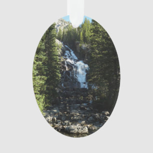 Hidden Falls dans le parc national de Grand Teton