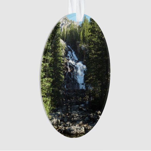 Hidden Falls dans le parc national du Grand Teton (devant)