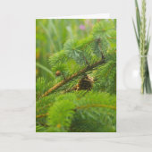 Hidden Pine Cone Wenskaart Feestdagen Kaart (Voorkant)