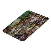 Hidden Whipporwill Magneet (Linkerzijde)