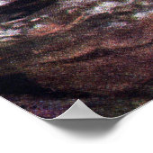 Hidden Whipporwill Poster (Hoek)