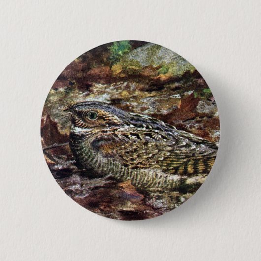 Hidden Whipporwill Ronde Button 5,7 Cm (Voorkant)