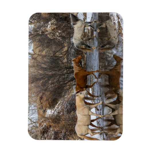 Hideout Horse Ranch Magneet (Verticaal)