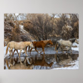 Hideout Horse Ranch Poster (Voorkant)