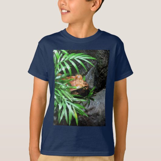 Hiding Frog CB T-shirt (Voorkant)