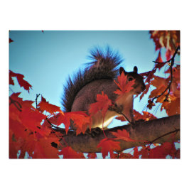 "Hiding in Plain Sight Foto Afdruk