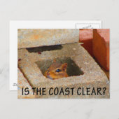 Hiding Squirrel Briefkaart (Voorkant / Achterkant)