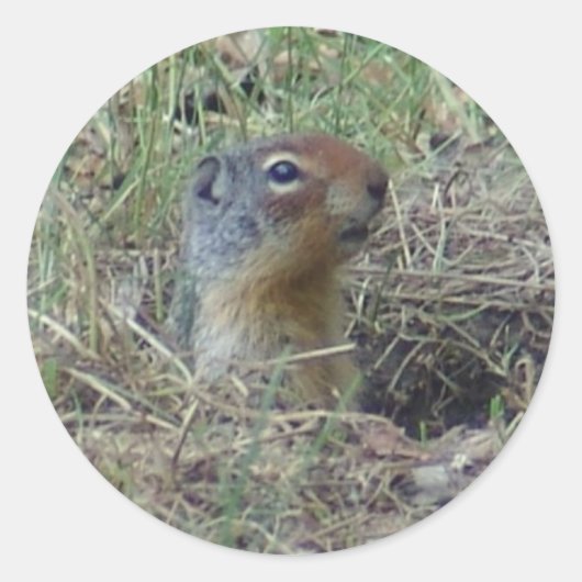 Hier ben ik ronde sticker (Voorkant)