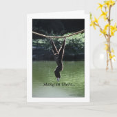 Hier hangen kaart (Gele Bloem)