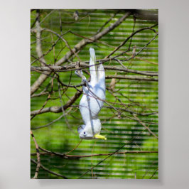 Hier hangen poster