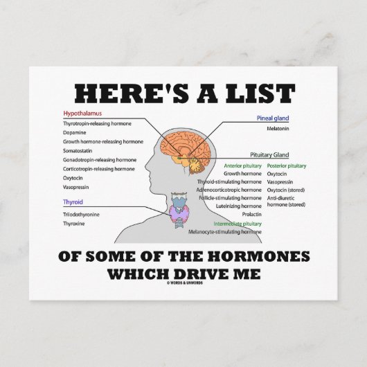 Hier is een lijst van enkele van de hormonen (endo briefkaart (Voorkant)