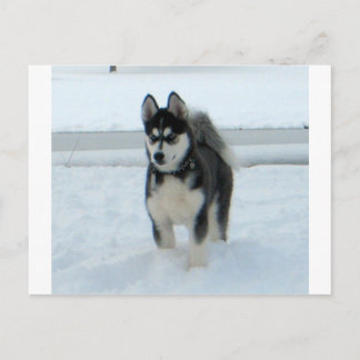 Hier is het probleem briefkaart