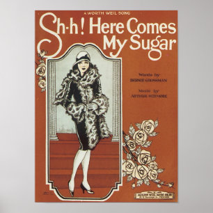 Hier is mijn Vintage Songbook Hoesje Poster