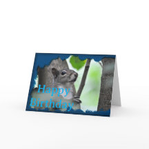 Hier kijkt u naar - Een eekhoorn in het blauw_0213