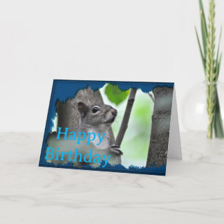 Hier kijkt u naar - Een eekhoorn in het blauw_0213 Kaart