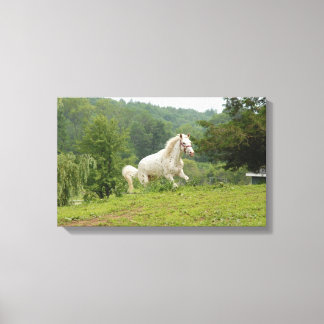 Hier kom ik canvas afdruk